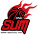 BNK釜山萨姆女篮 队徽